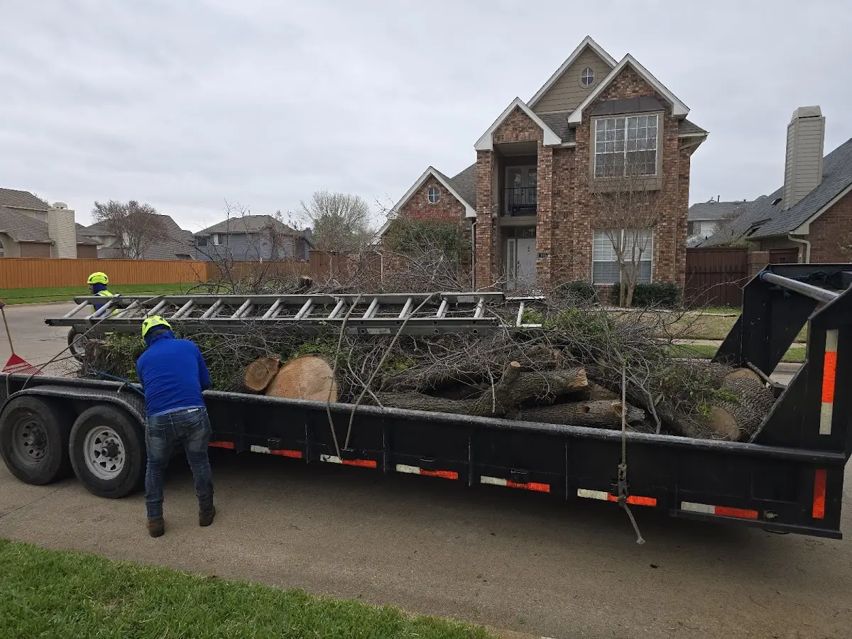 Expert Tree Removal with proper safety equipment in Clover